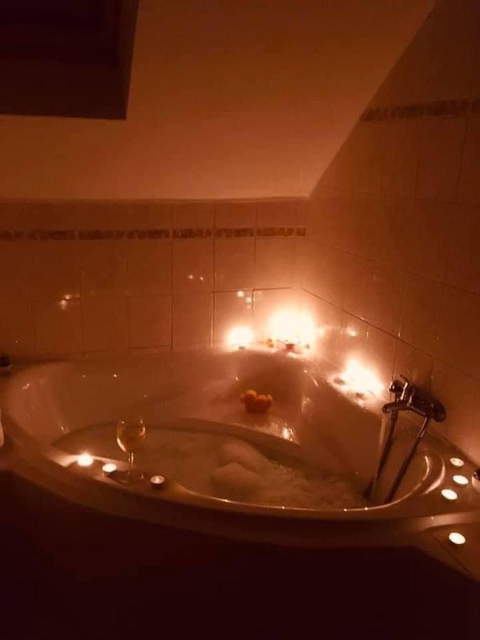 Srub Jenisov Apartment Horni Plana