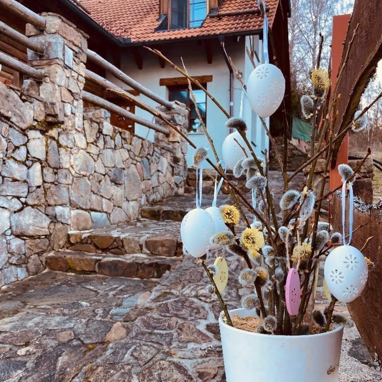 Apartment Srub Jenisov Horni Plana